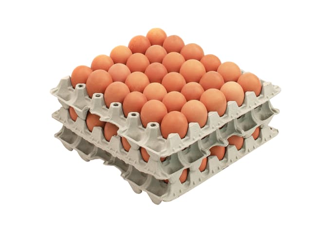Imp Eier Bodenhaltung 63g+ braun