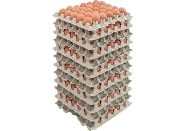 Imp Eier Bodenhaltung 53g+ braun